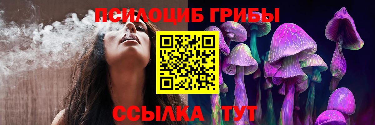 Галлюциногенные грибы MAGIC MUSHROOMS  Псилоцибиновые грибы GOLDEN TEACHER  дарнет шоп  Коряжма  Вход с VPN 
